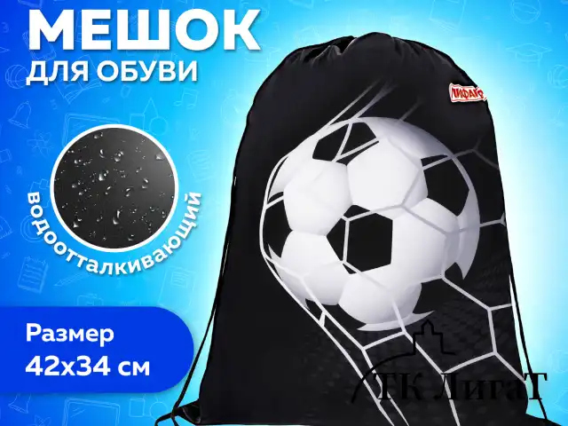 Мешок для обуви ПИФАГОР, 1 отделение, 42х34 см, "Ball kick", 272386