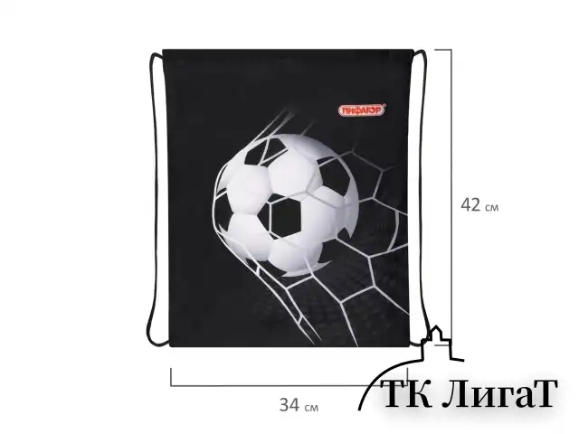 Мешок для обуви ПИФАГОР, 1 отделение, 42х34 см, "Ball kick", 272386