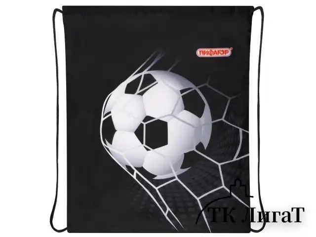 Мешок для обуви ПИФАГОР, 1 отделение, 42х34 см, "Ball kick", 272386