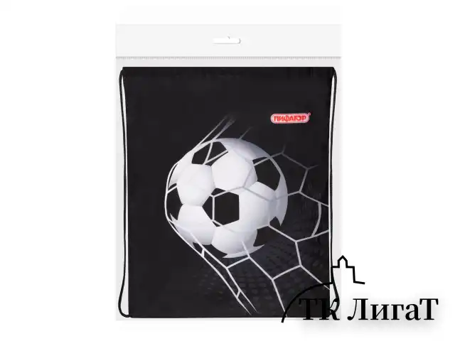 Мешок для обуви ПИФАГОР, 1 отделение, 42х34 см, "Ball kick", 272386