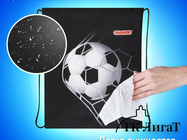 Мешок для обуви ПИФАГОР, 1 отделение, 42х34 см, "Ball kick", 272386