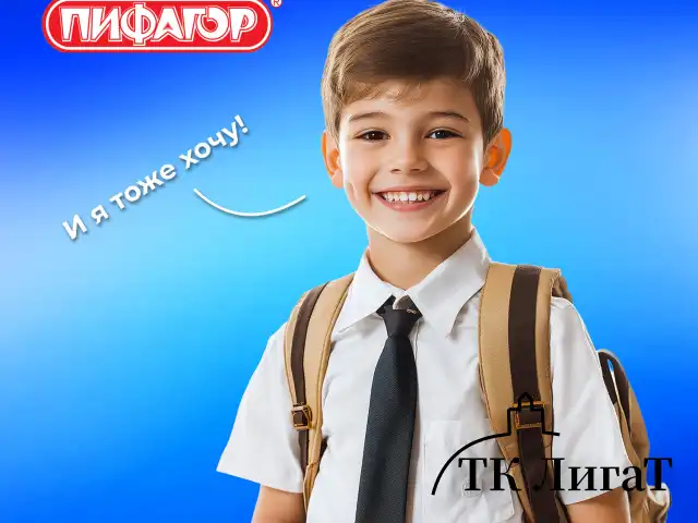 Мешок для обуви ПИФАГОР, 1 отделение, 42х34 см, "Ball kick", 272386