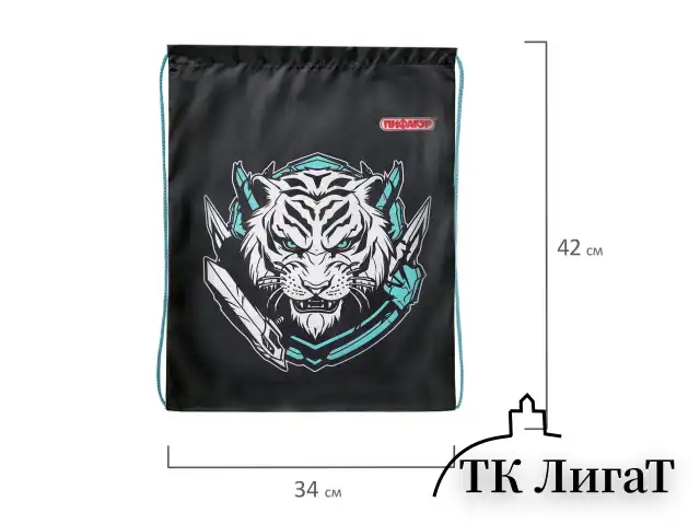 Мешок для обуви ПИФАГОР, 1 отделение, 42х34 см, "White tiger", 272389