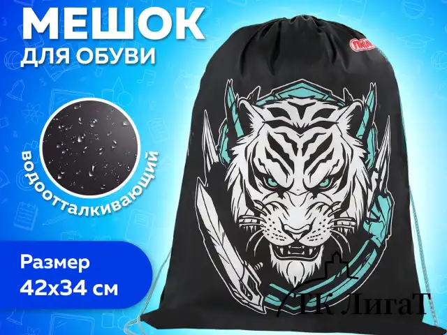 Мешок для обуви ПИФАГОР, 1 отделение, 42х34 см, "White tiger", 272389