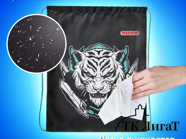 Мешок для обуви ПИФАГОР, 1 отделение, 42х34 см, "White tiger", 272389