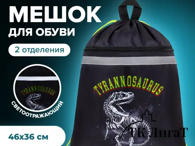 Мешок для обуви BRAUBERG, с петлей, светоотражающая полоса, 2 отделения, 46х36 см, Tyrannosaur, 272399