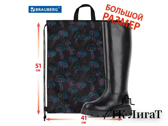 Мешок для обуви BRAUBERG большой удобный с ручкой, 51х41 см, Goblincore, 272401