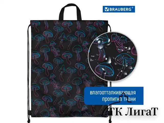 Мешок для обуви BRAUBERG большой удобный с ручкой, 51х41 см, Goblincore, 272401