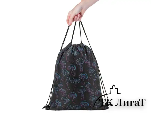 Мешок для обуви BRAUBERG большой удобный с ручкой, 51х41 см, Goblincore, 272401