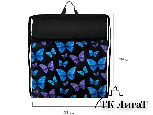 Мешок для обуви BRAUBERG БОЛЬШОЙ, с ручкой, карман на молнии, сетка, 49х41 см, "Fly aways", 272402