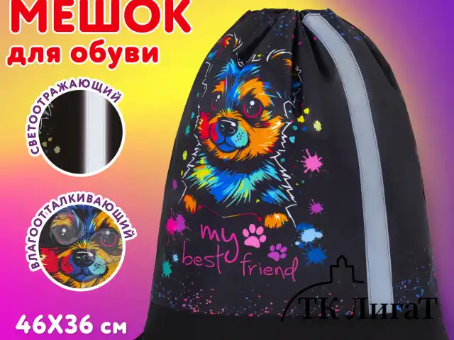 Мешок для обуви ЮНЛАНДИЯ, плотный, светоотражающая полоса, 46х36 см, "True friend", 272410