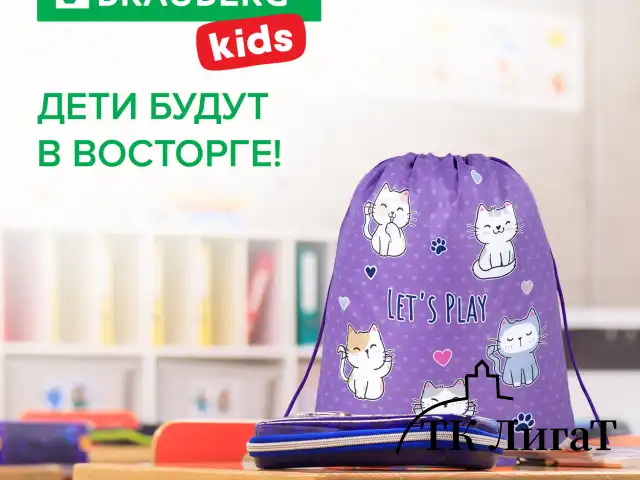 Мешок для обуви BRAUBERG KIDS, с петлей, 42х34 см, "Playing kittens", 272413