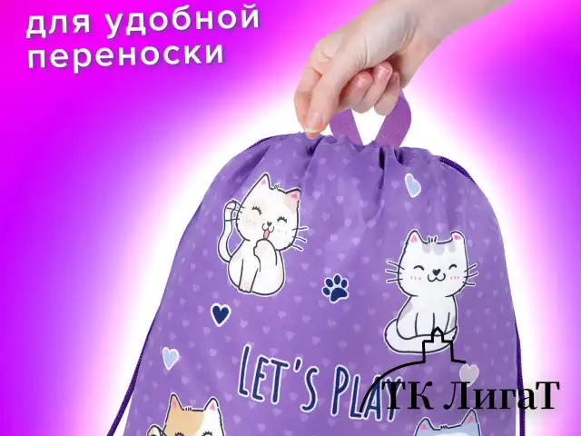 Мешок для обуви BRAUBERG KIDS, с петлей, 42х34 см, "Playing kittens", 272413