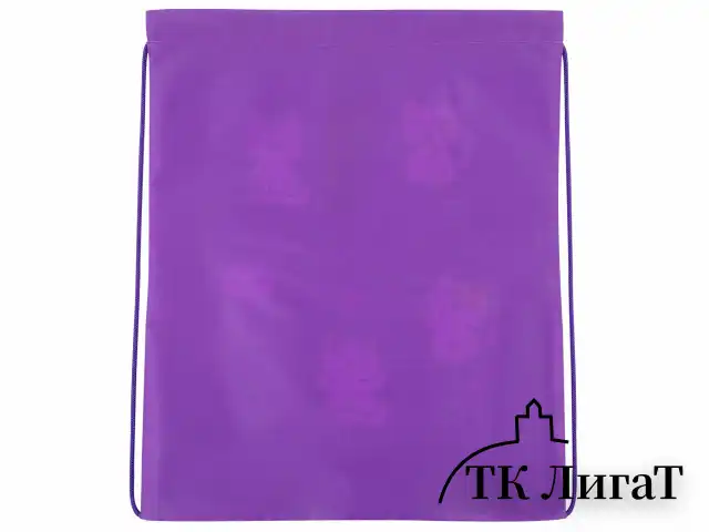 Мешок для обуви BRAUBERG KIDS, с петлей, 42х34 см, "Playing kittens", 272413