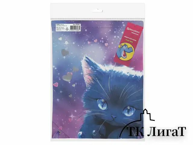 Мешок для обуви BRAUBERG PREMIUM, карман, подкладка, светоотражайка, 43х33 см, Anime cat, 272421
