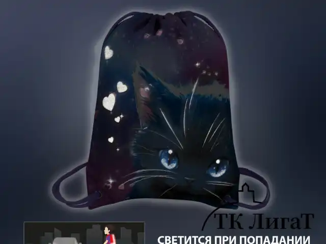 Мешок для обуви BRAUBERG PREMIUM, карман, подкладка, светоотражайка, 43х33 см, Anime cat, 272421