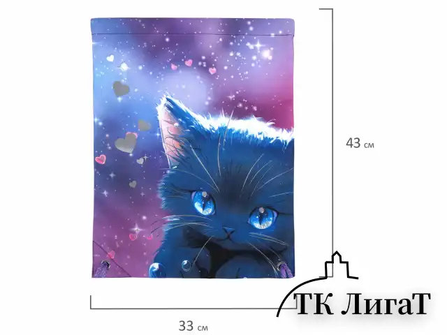 Мешок для обуви BRAUBERG PREMIUM, карман, подкладка, светоотражайка, 43х33 см, Anime cat, 272421
