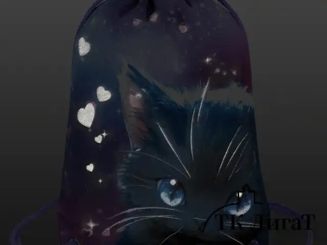 Мешок для обуви BRAUBERG PREMIUM, карман, подкладка, светоотражайка, 43х33 см, Anime cat, 272421