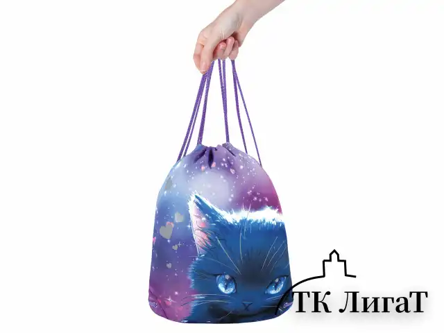 Мешок для обуви BRAUBERG PREMIUM, карман, подкладка, светоотражайка, 43х33 см, Anime cat, 272421