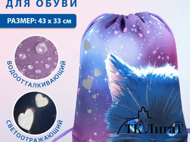 Мешок для обуви BRAUBERG PREMIUM, карман, подкладка, светоотражайка, 43х33 см, Anime cat, 272421