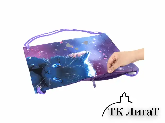 Мешок для обуви BRAUBERG PREMIUM, карман, подкладка, светоотражайка, 43х33 см, Anime cat, 272421