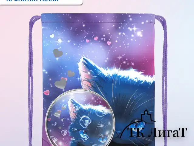 Мешок для обуви BRAUBERG PREMIUM, карман, подкладка, светоотражайка, 43х33 см, Anime cat, 272421