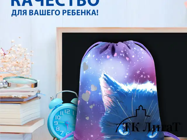 Мешок для обуви BRAUBERG PREMIUM, карман, подкладка, светоотражайка, 43х33 см, Anime cat, 272421