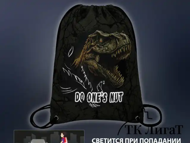 Мешок для обуви BRAUBERG PREMIUM, карман, подкладка, светоотражайка, 43х33 см, Dino attack, 272424