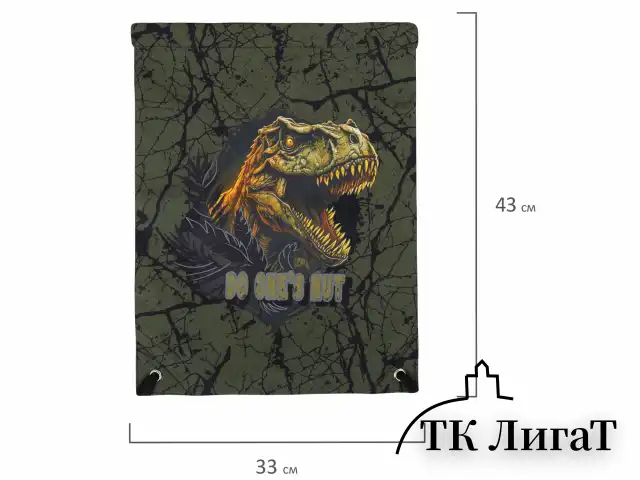 Мешок для обуви BRAUBERG PREMIUM, карман, подкладка, светоотражайка, 43х33 см, Dino attack, 272424