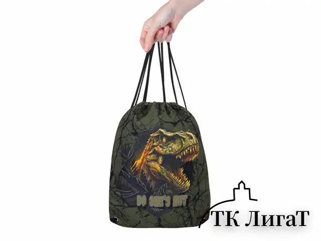 Мешок для обуви BRAUBERG PREMIUM, карман, подкладка, светоотражайка, 43х33 см, Dino attack, 272424