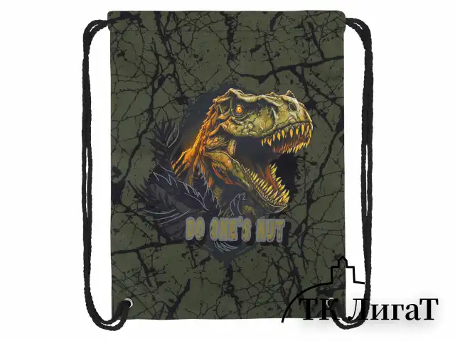 Мешок для обуви BRAUBERG PREMIUM, карман, подкладка, светоотражайка, 43х33 см, Dino attack, 272424