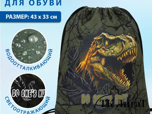 Мешок для обуви BRAUBERG PREMIUM, карман, подкладка, светоотражайка, 43х33 см, Dino attack, 272424