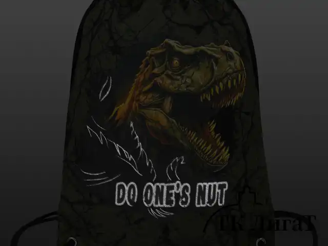 Мешок для обуви BRAUBERG PREMIUM, карман, подкладка, светоотражайка, 43х33 см, Dino attack, 272424