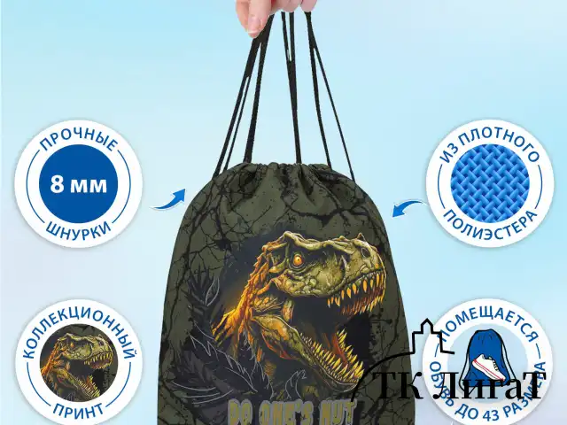 Мешок для обуви BRAUBERG PREMIUM, карман, подкладка, светоотражайка, 43х33 см, Dino attack, 272424
