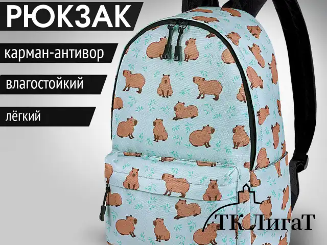 Рюкзак HEIKKI POSITIVE (ХЕЙКИ) универсальный, карман-антивор, Capybara, 42х28х14 см, 272548