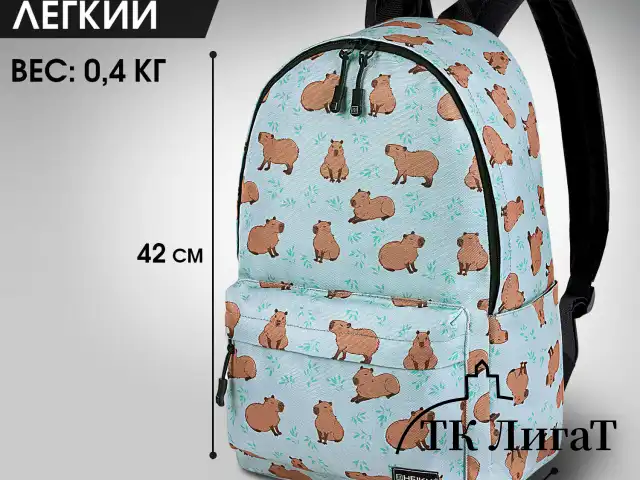 Рюкзак HEIKKI POSITIVE (ХЕЙКИ) универсальный, карман-антивор, Capybara, 42х28х14 см, 272548