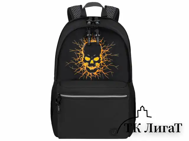 Рюкзак BRAUBERG FASHION CITY универсальный, 2 отделения, Skull, черный, 46х31х15 см, 272572