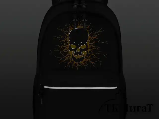 Рюкзак BRAUBERG FASHION CITY универсальный, 2 отделения, Skull, черный, 46х31х15 см, 272572