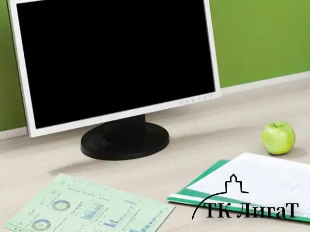 Папки-файлы перфорированные ЗЕЛЕНЫЕ А4 BRAUBERG, комплект 100 шт., гладкие, 35 мкм, 272676