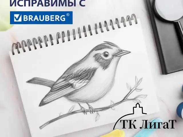 Ластики выдвижные BRAUBERG "REWIND", 2 ШТУКИ, 114х20х20 мм, белые, пастельные цвета корпуса, блистер, 272687