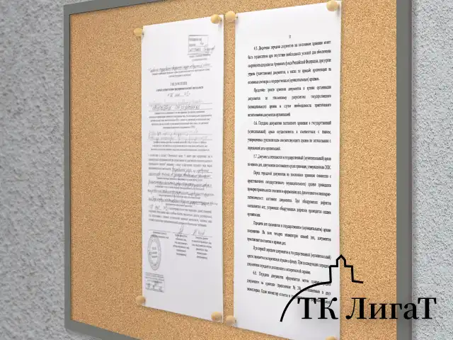 Силовые кнопки-гвоздики BRAUBERG WOOD, деревянные (шарики), 50 штук, 10 мм, 272761