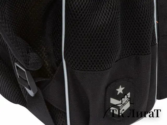 Ранец GRIZZLY анатомическая спинка, с мешком для обуви, для мальчиков, SERIOUS, 33х25х13 см, RAm-485-6/1
