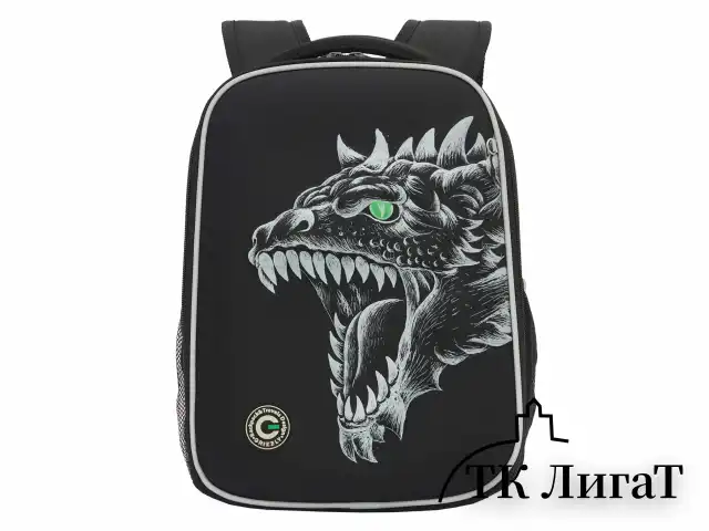 Ранец GRIZZLY анатомическая спинка, облегченный, для мальчиков, DRAGON, 37х26х16 см, RAw-497-3/1
