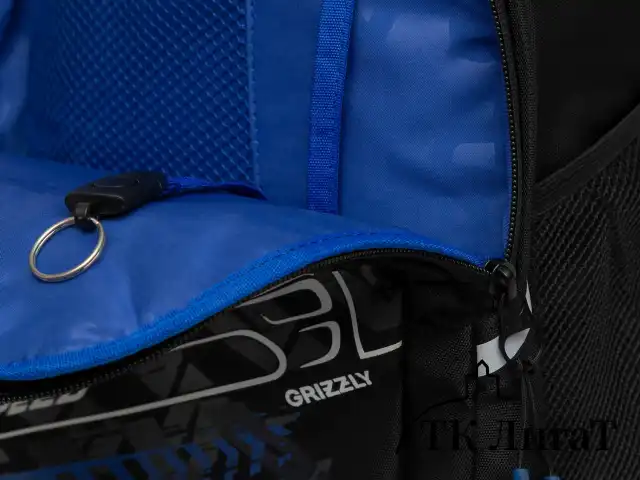 Рюкзак GRIZZLY школьный, анатомическая спинка, 2 отделения, для мальчиков, HOT SPEED, синий, 38х26х20 см, RB-350-3/2