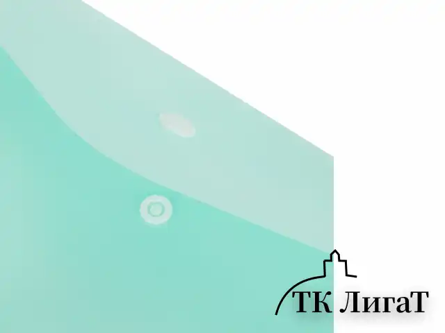 Папка-конверт с кнопкой А4, КОМПЛЕКТ 5 шт., пастельные цвета ассорти, BRAUBERG "PASTEL", 0,18 мм, 272866