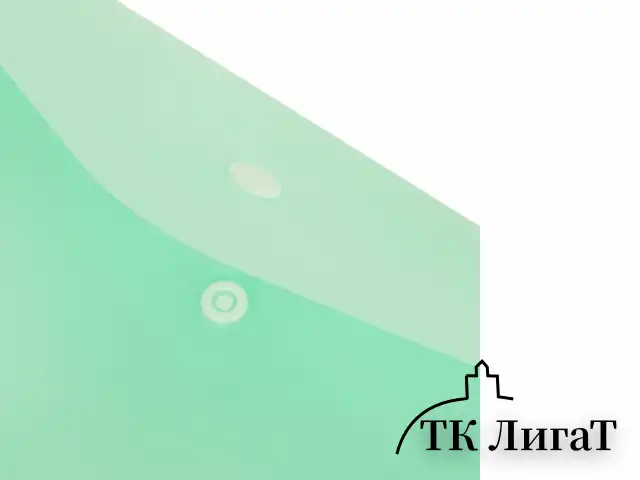 Папка-конверт с кнопкой BRAUBERG "Pastel", А4, матовая непрозрачная, мятная, ПРОЧНАЯ 0,2 мм, 272883