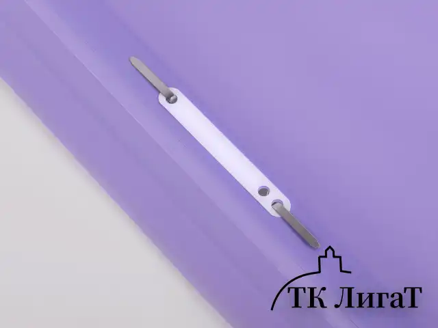 Скоросшиватель пластиковый ERICH KRAUSE "Pastel", А4, 120/180 мкм, ассорти, 50484