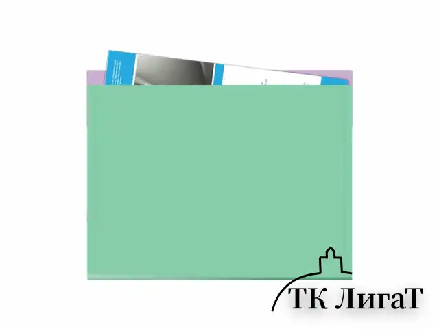 Папка-конверт с кнопкой ERICH KRAUSE "Matt Pastel Bloom", А5+, до 120 л., с карманом, ассорти, 0,18 мм, 61150