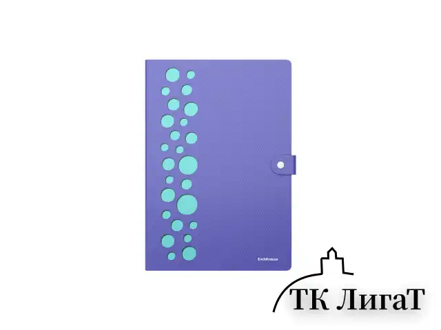 Папка-органайзер на кнопке 4 отделения, ERICH KRAUSE "Diagonal Pastel", 600 мкм, до 150 л., А4, ассорти, 61211