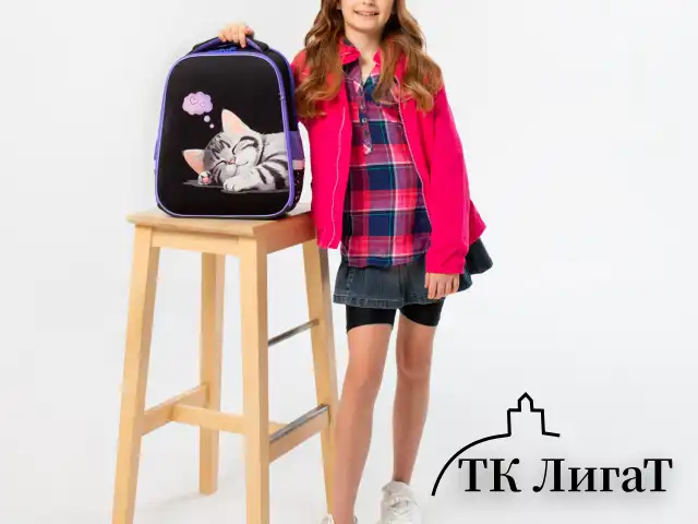 Ранец BRAUBERG FIT, 2 отделения, Sleeping kitten, велюровая панель, 38х27х14 см, 273107